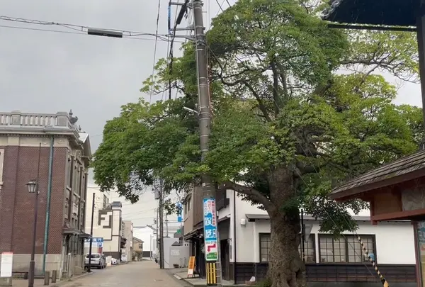 三國湊座の写真・動画_image_652889