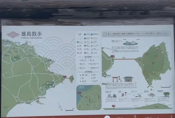 雄島の写真・動画_image_652892