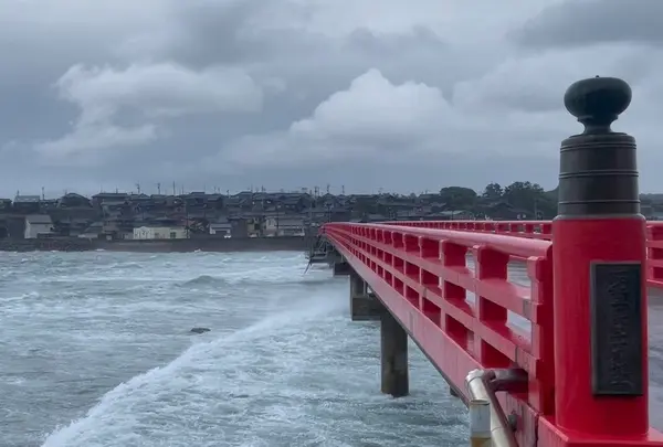 雄島の写真・動画_image_652894