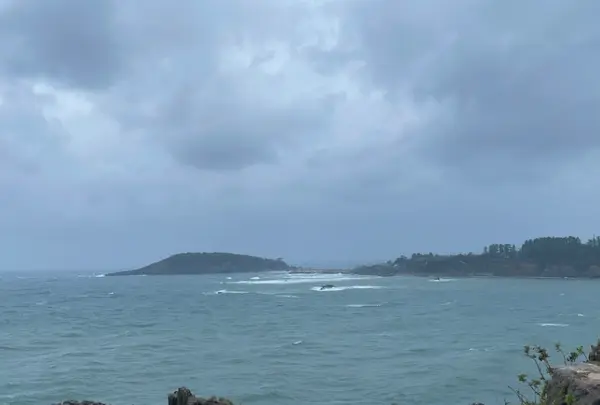 東尋坊の写真・動画_image_652896