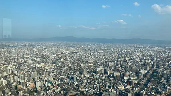 あべのハルカスの写真・動画_image_653771