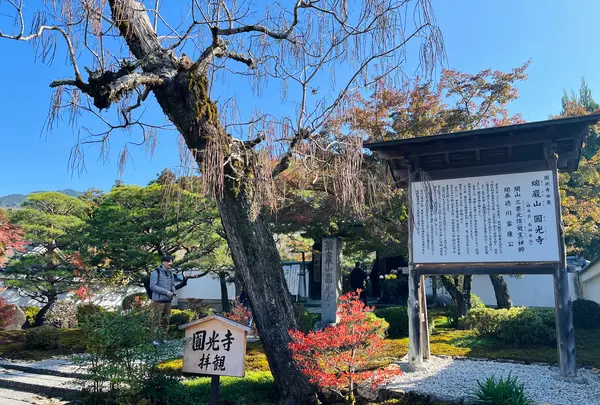 圓光寺の写真・動画_image_654276