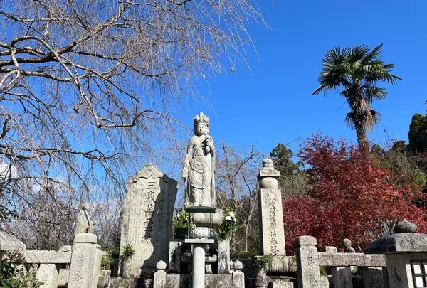 圓光寺の写真・動画_image_654277