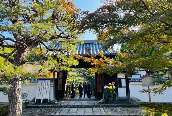 圓光寺の写真・動画_image_654278