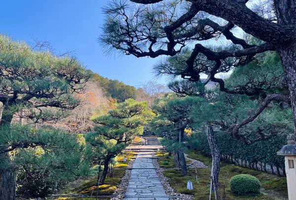 圓光寺の写真・動画_image_654279