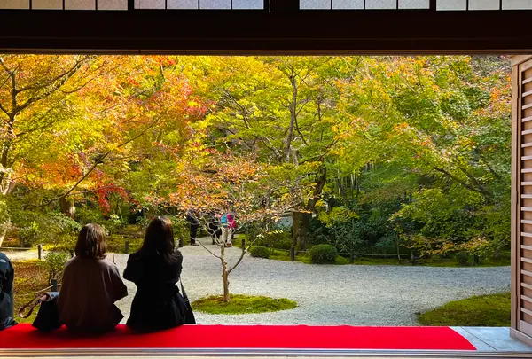 圓光寺の写真・動画_image_654280