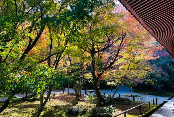 圓光寺の写真・動画_image_654284