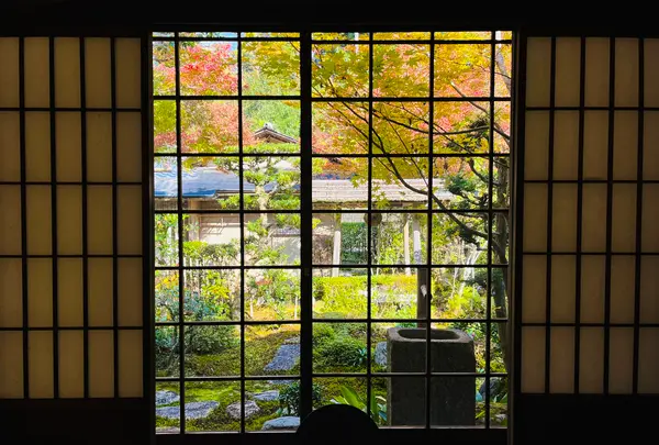 圓光寺の写真・動画_image_654288