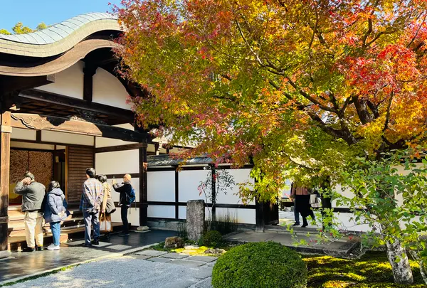 圓光寺の写真・動画_image_654290