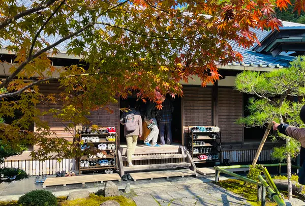 圓光寺の写真・動画_image_654291