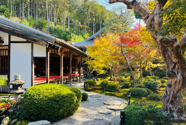 圓光寺の写真・動画_image_654292