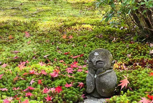 圓光寺の写真・動画_image_654294