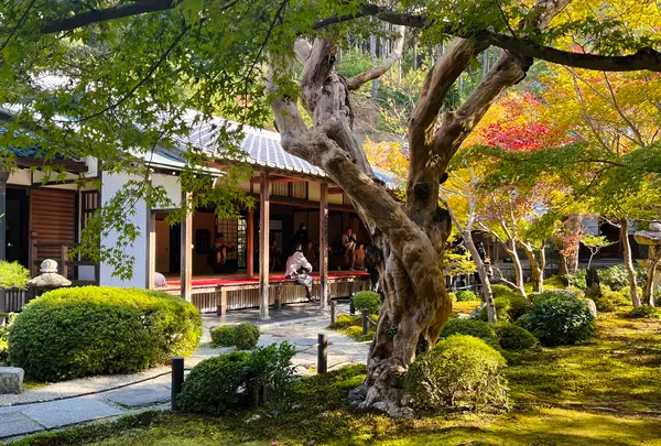 圓光寺の写真・動画_image_654295