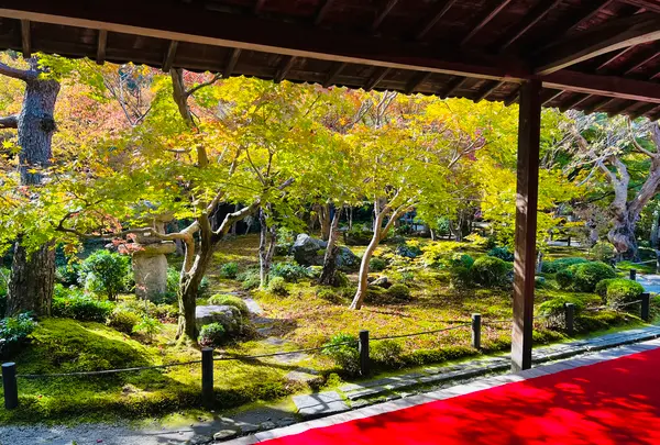 圓光寺の写真・動画_image_654297
