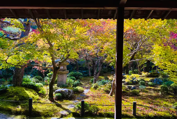 圓光寺の写真・動画_image_654298