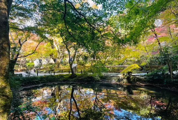 圓光寺の写真・動画_image_654300