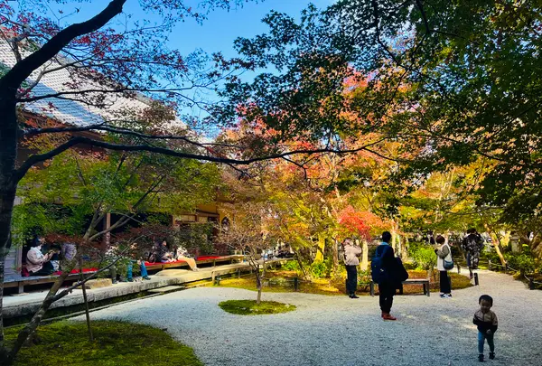 圓光寺の写真・動画_image_654301