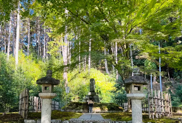 圓光寺の写真・動画_image_654305