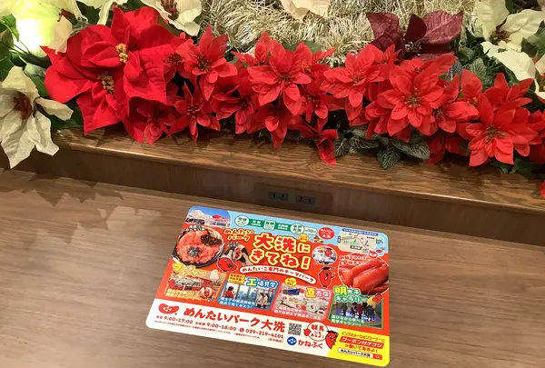 そば うどん 鼓の写真・動画_image_655618