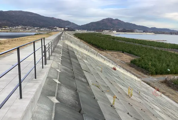 東日本大震災津波伝承館の写真・動画_image_655639