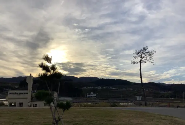 奇跡の一本松の写真・動画_image_655646