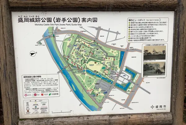 盛岡城跡公園 (岩手公園)の写真・動画_image_655941