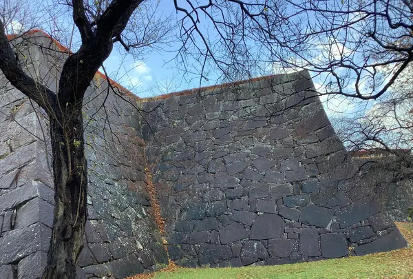 盛岡城跡公園 (岩手公園)の写真・動画_image_655945