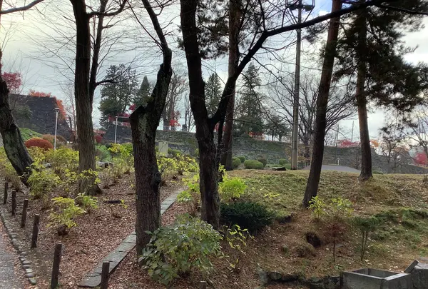 盛岡城跡公園 (岩手公園)の写真・動画_image_655951