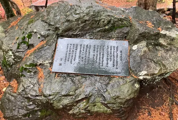 盛岡城跡公園 (岩手公園)の写真・動画_image_655952