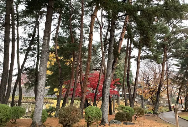 盛岡城跡公園 (岩手公園)の写真・動画_image_655953