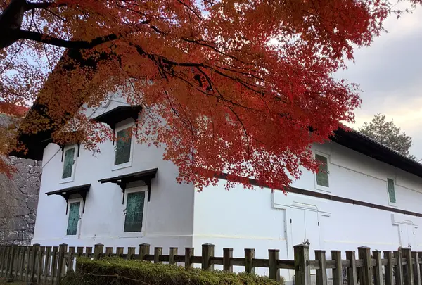 盛岡城跡公園 (岩手公園)の写真・動画_image_655955