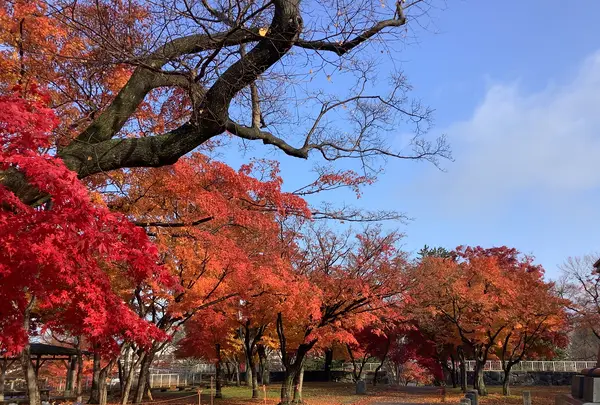 盛岡城跡公園 (岩手公園)の写真・動画_image_655957