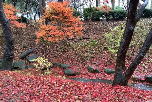 盛岡城跡公園 (岩手公園)の写真・動画_image_655961