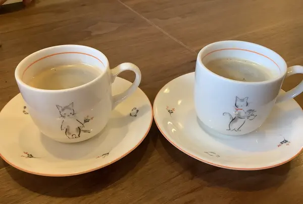 シャトンの写真・動画_image_655986