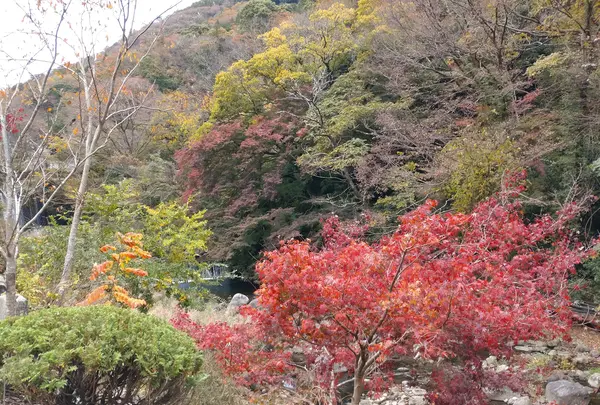 天山湯治郷の写真・動画_image_656834