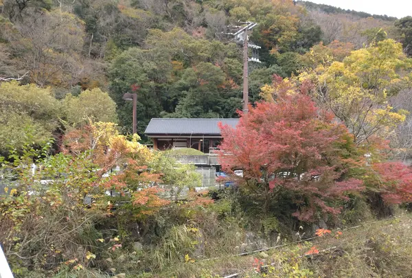 天山湯治郷の写真・動画_image_656837