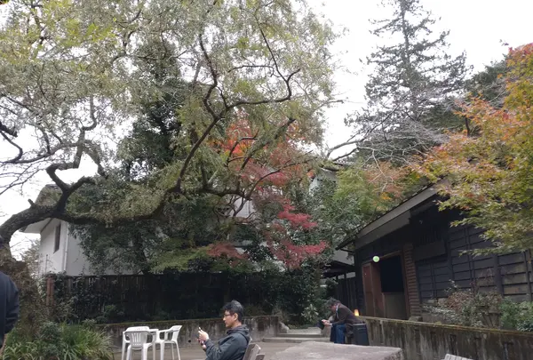 天山湯治郷の写真・動画_image_656844