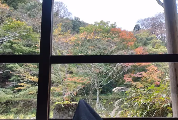 天山湯治郷の写真・動画_image_656853