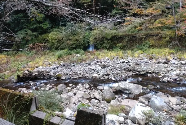 天山湯治郷の写真・動画_image_656857