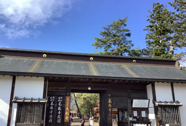 毛越寺庭園の写真・動画_image_656886