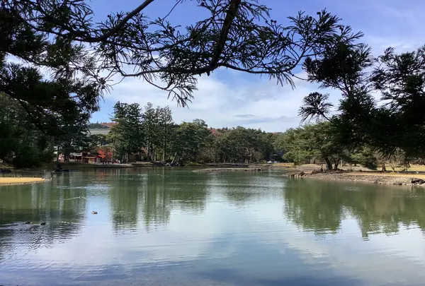 毛越寺庭園の写真・動画_image_656893