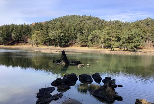 毛越寺庭園の写真・動画_image_656894