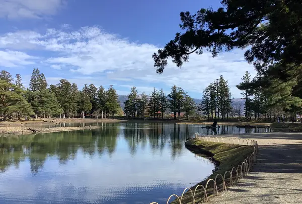 毛越寺庭園の写真・動画_image_656895