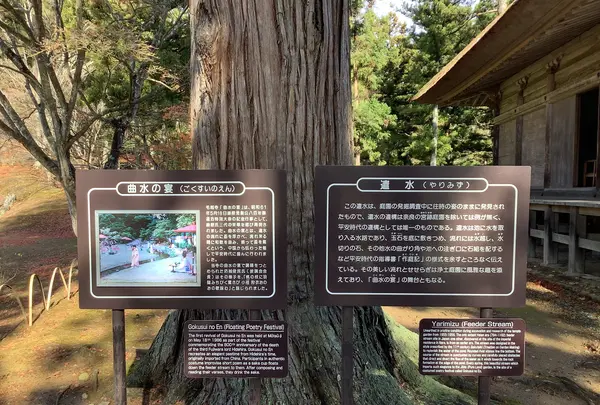 毛越寺庭園の写真・動画_image_656897