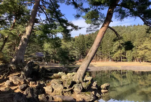 毛越寺庭園の写真・動画_image_656899