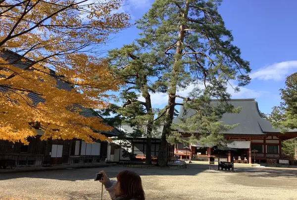 毛越寺庭園の写真・動画_image_656901