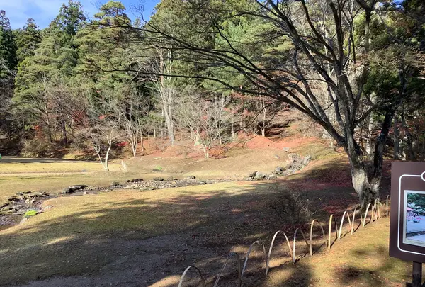 毛越寺庭園の写真・動画_image_656902