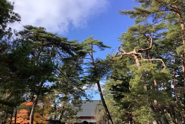 毛越寺庭園の写真・動画_image_656903