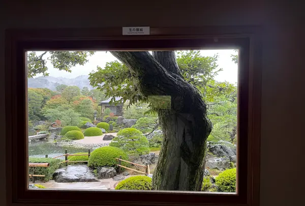 足立美術館の写真・動画_image_657012