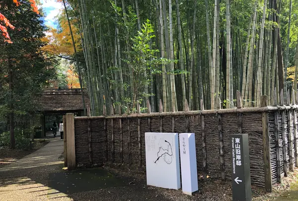 とらや工房の写真・動画_image_657135